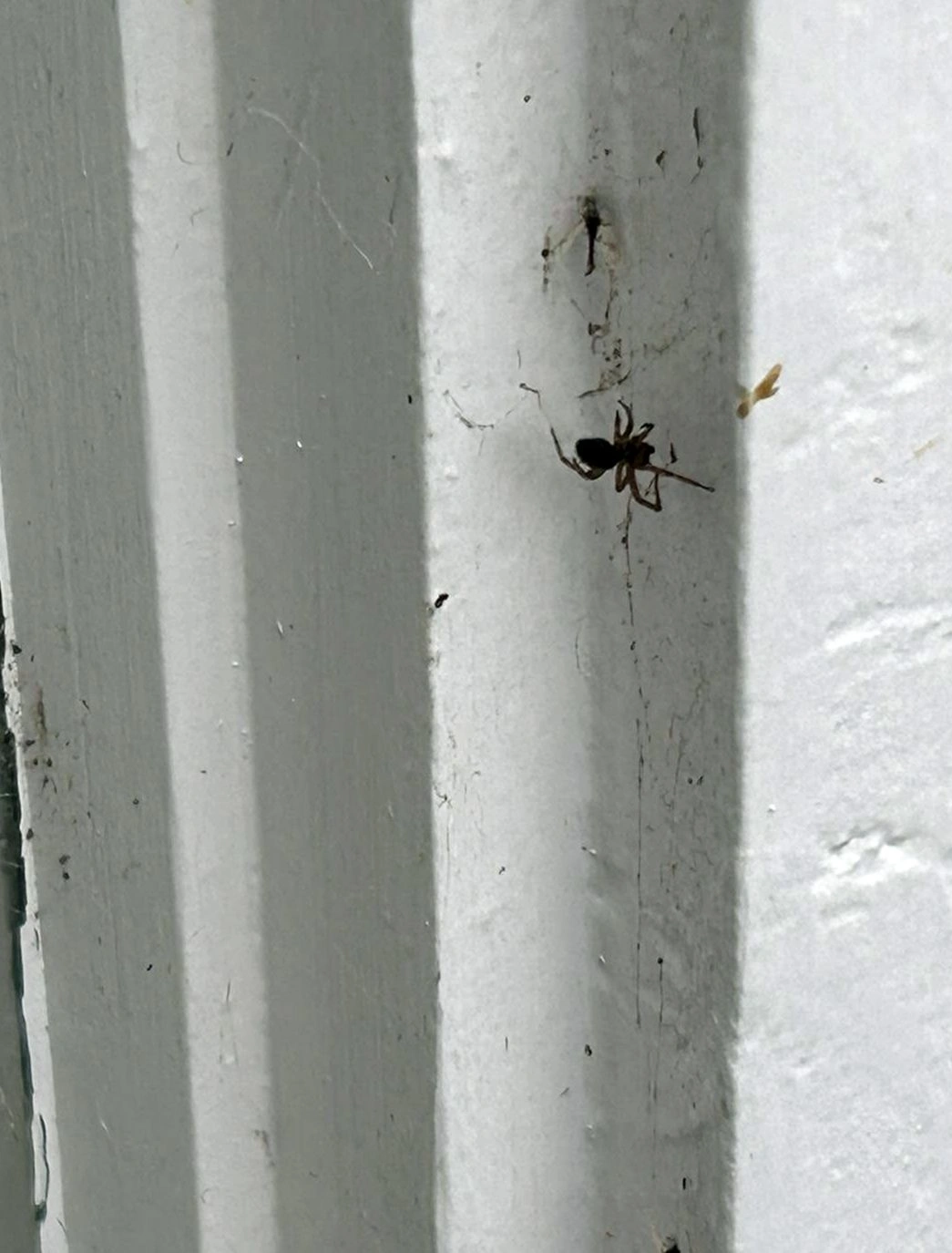 Routine Maintenance performed by Middlebury Pest Control in Akron, OH